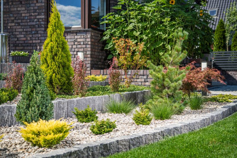 Brick Walls Vs. Stone Walls: Choosing The Right Material