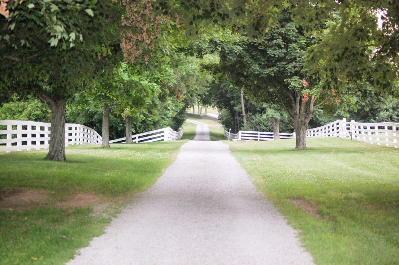 Pathway and Driveway Paving